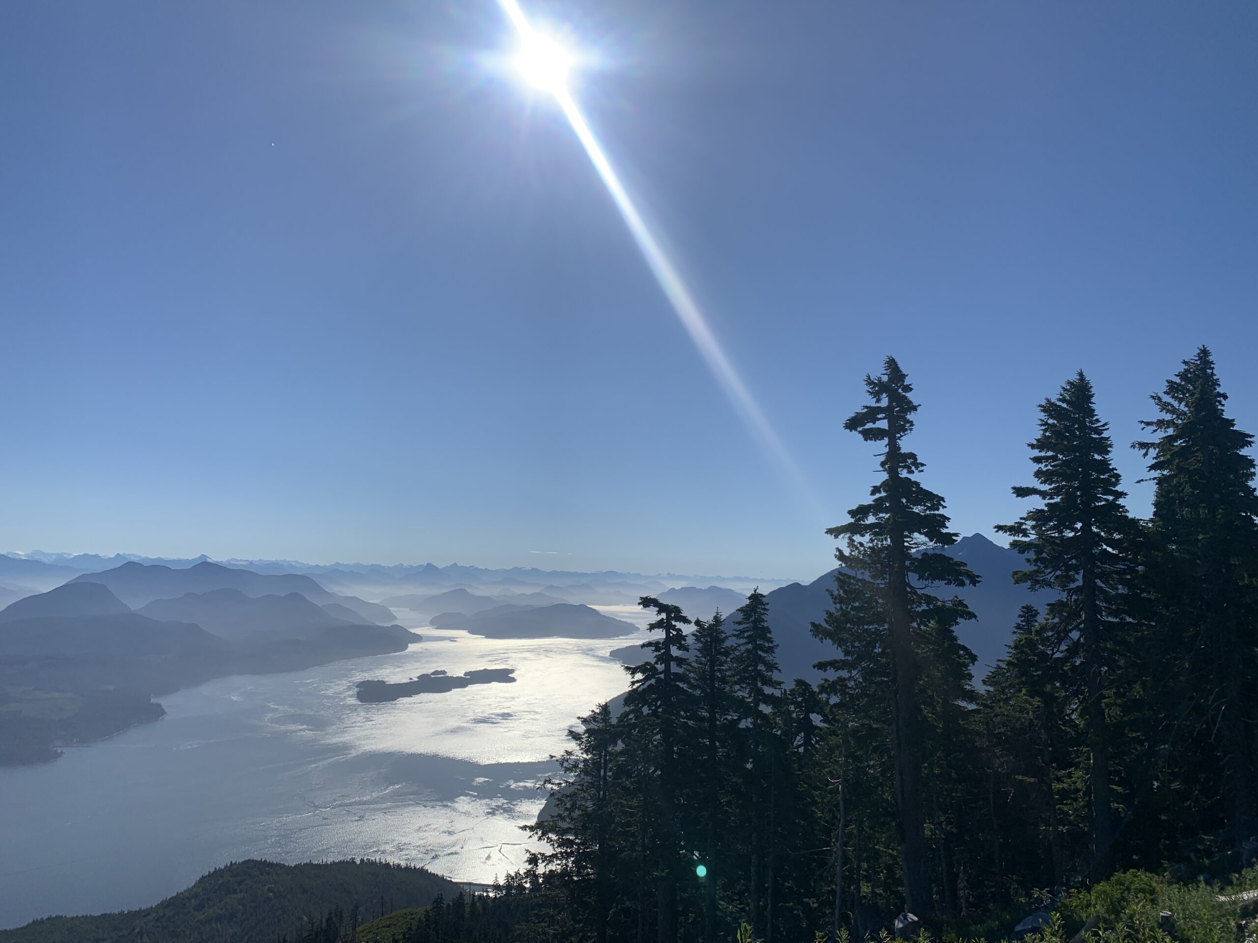 tree-top view from Vancouver Island